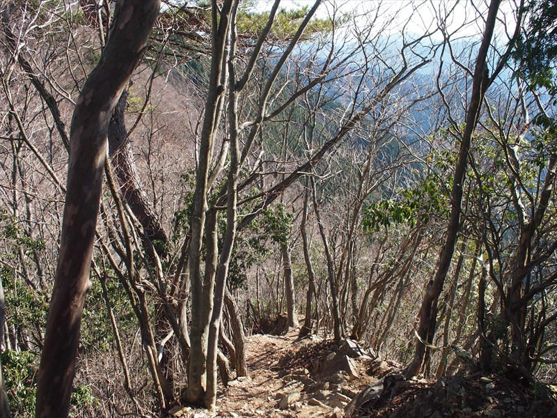 生藤山・三国山のハイキング