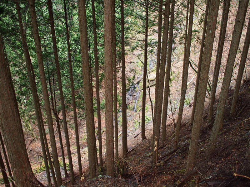 奈良倉山・鶴寝山のハイキング