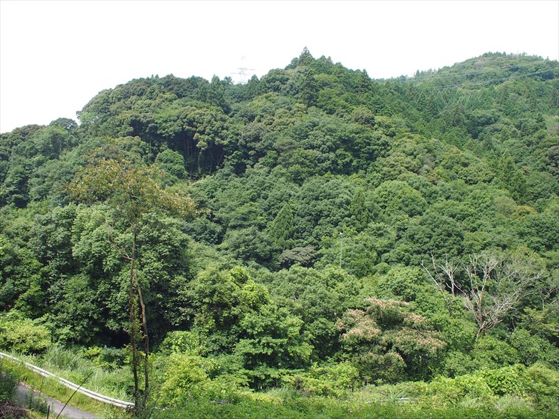 竜王山・阿武山のハイキング