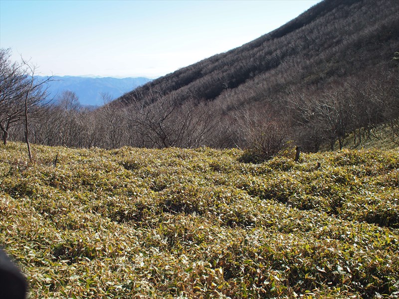 赤城山(黒檜山-駒ケ岳)のハイキング