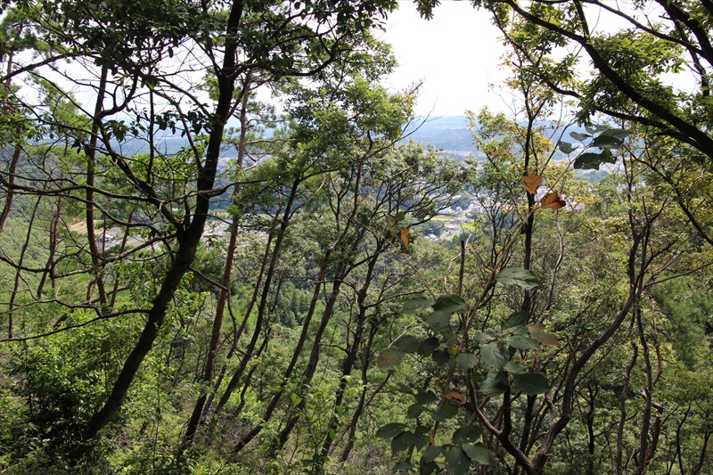鳩吹山・犬山城のハイキング