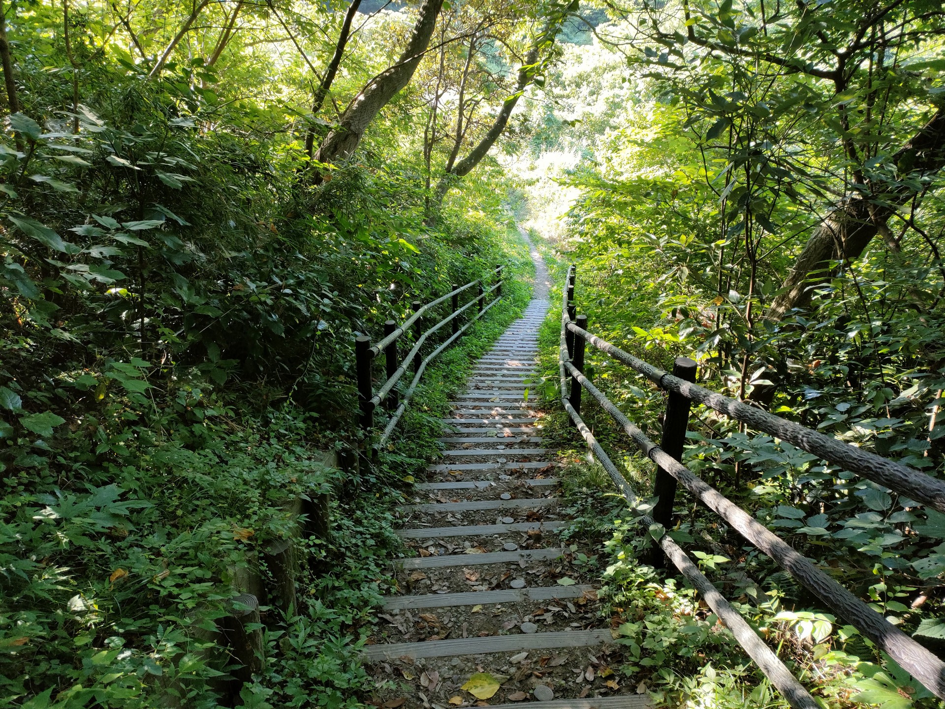 塚山公園・大楠山のハイキング