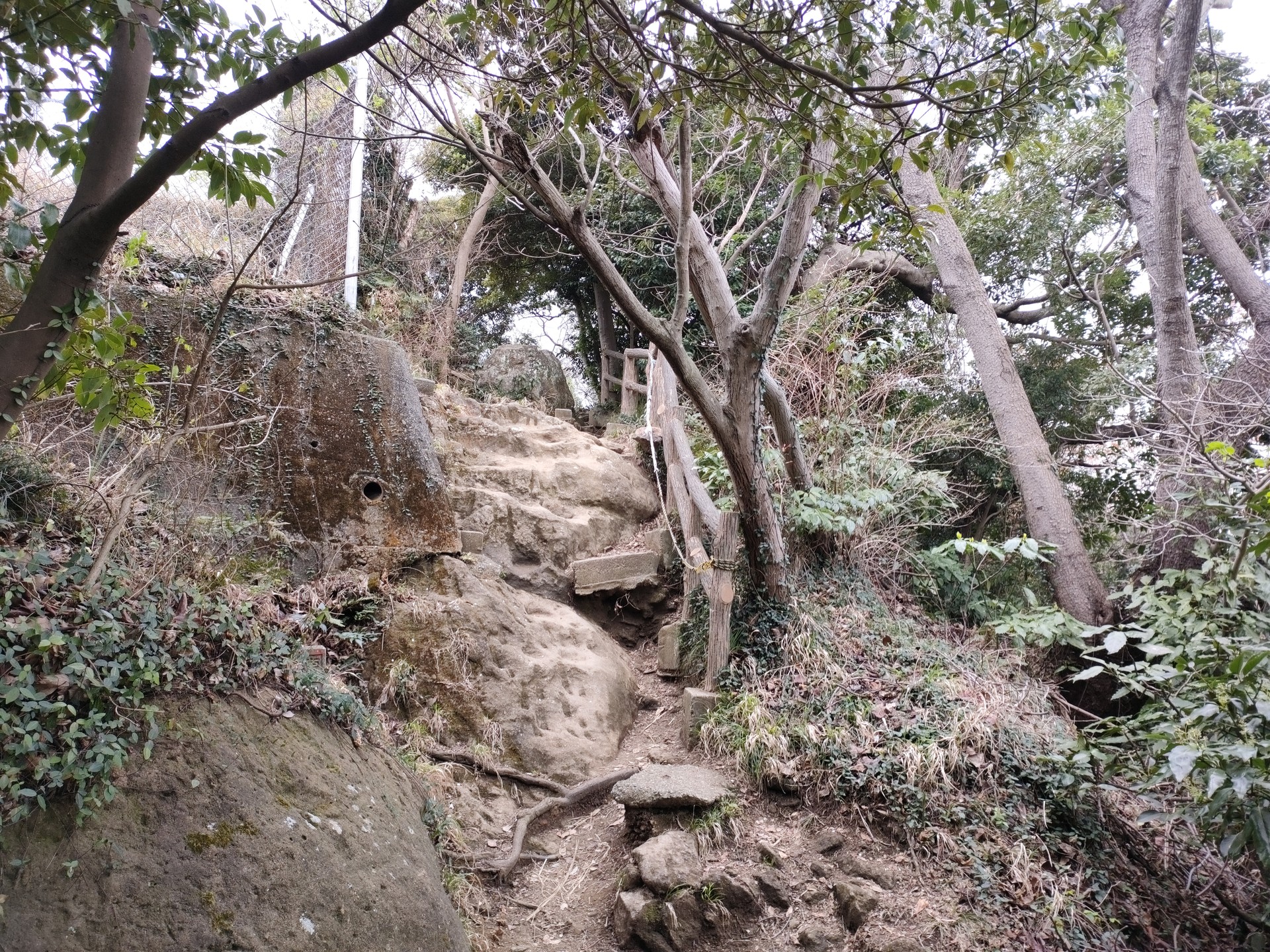 鷹取山・神武寺山・二子山のハイキング