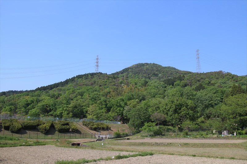 弥勒山 (大谷山・道樹山)