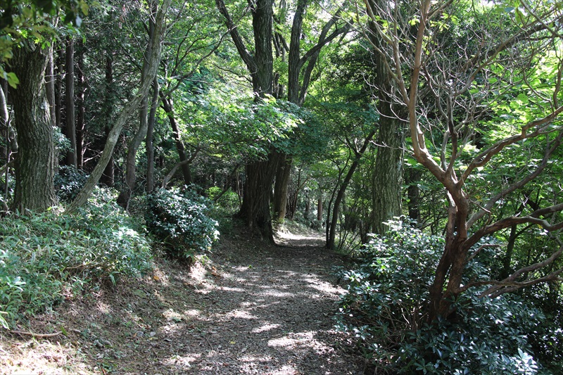 関ヶ原 明神山・松尾山のハイキング