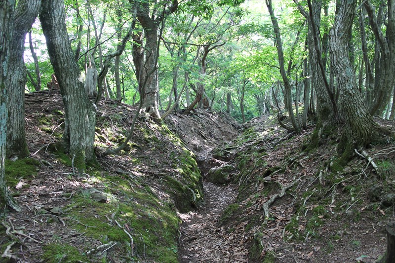 霊仙山・経塚山のハイキング
